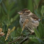 Avatar of Nadeem Shah