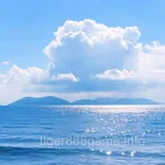 Avatar of Naeem Shah